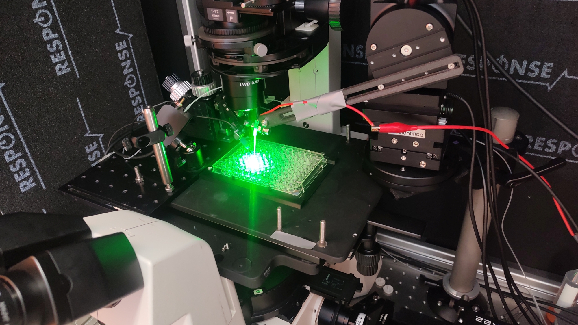 Consortium to build quantum-enabled "brain-on-chip" platform for neurological drug discovery and screening